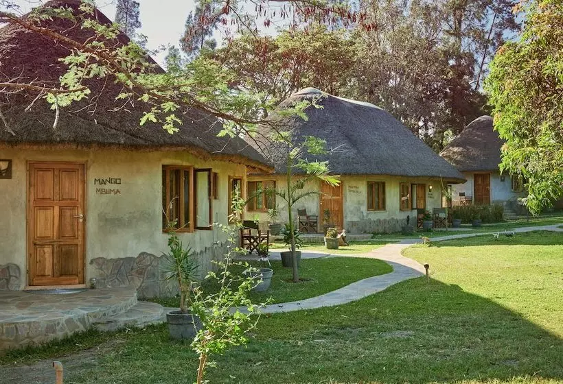 هتل Wild Dogs Lodge