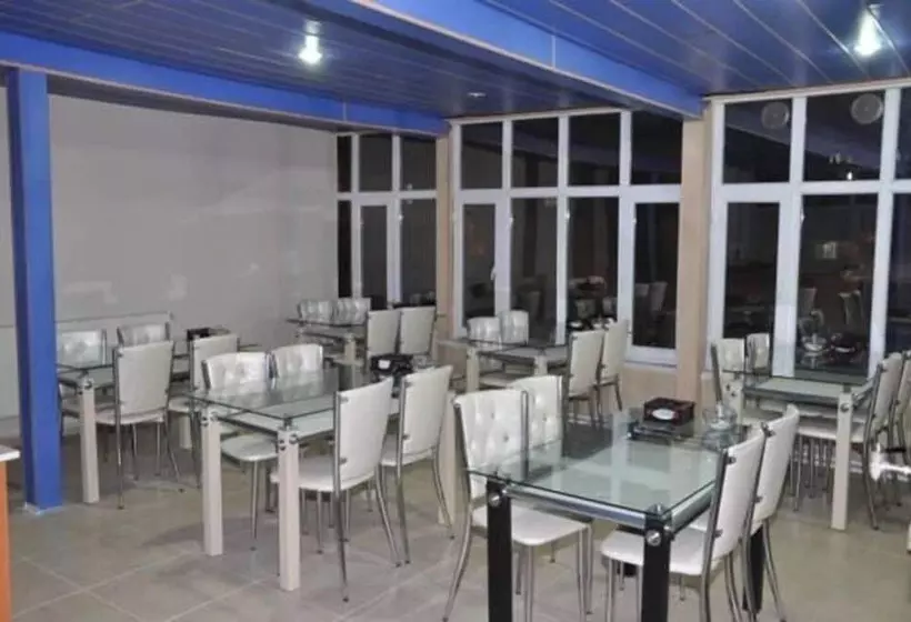 Otel Celik Palas
