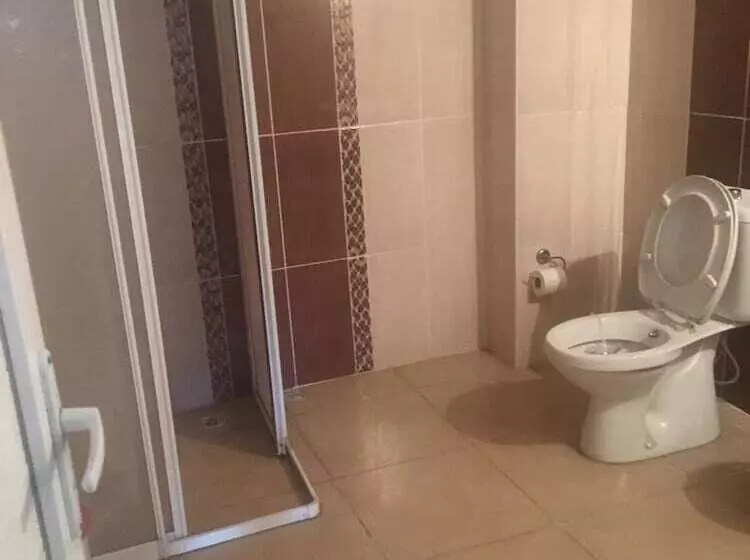Otel Celik Palas