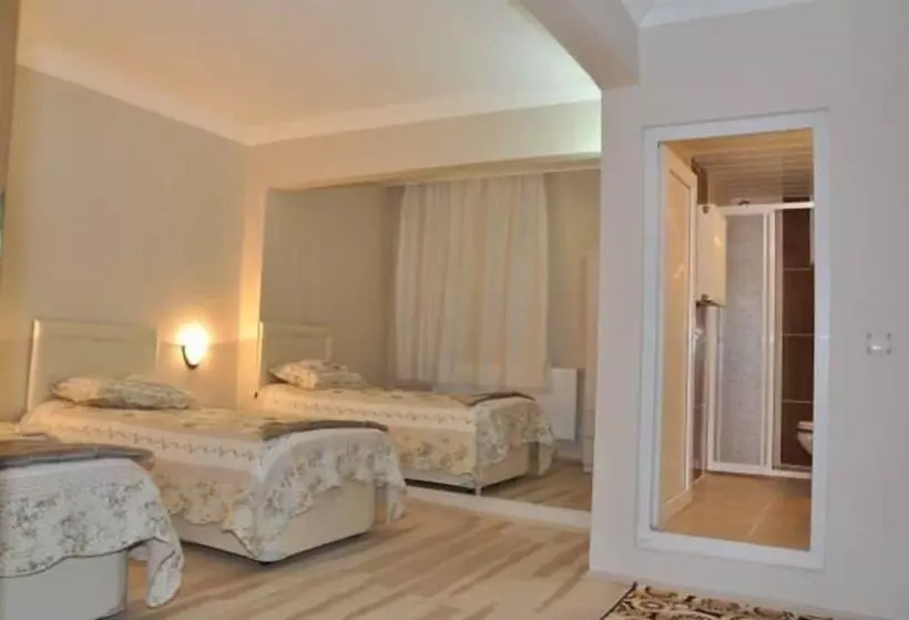 Otel Celik Palas
