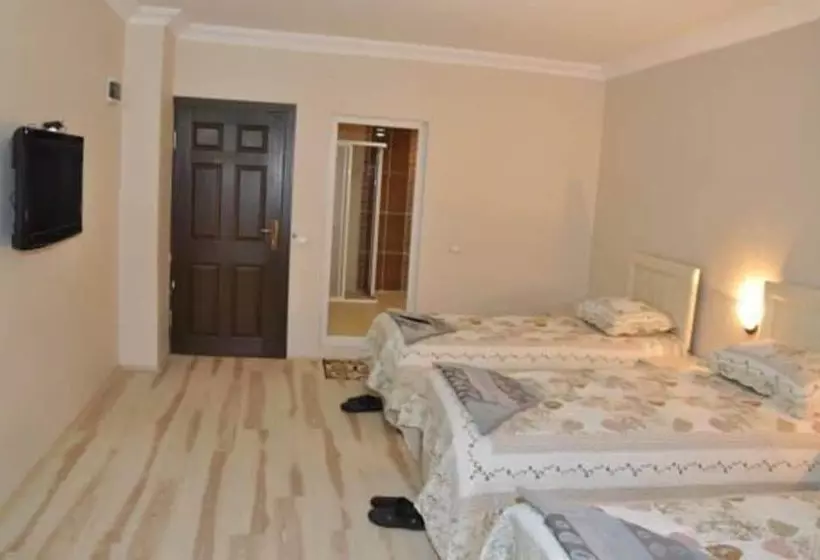 Otel Celik Palas