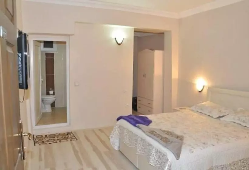 Otel Celik Palas