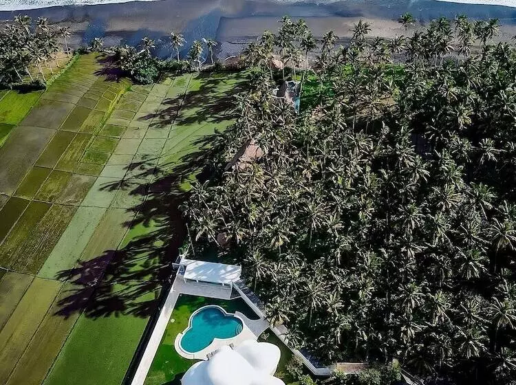 Majatalo Beachfront Villa The Cloud