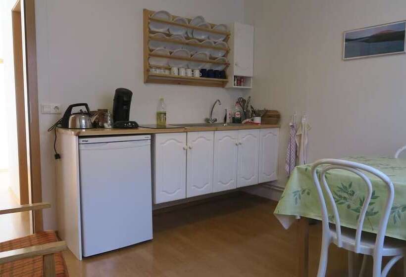 پانسیون Meyjarskemman Farm Stay