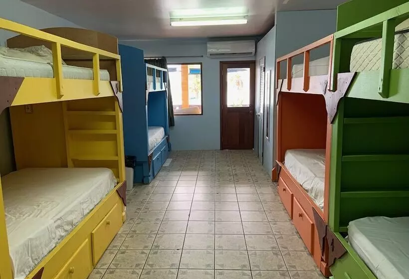 The Waterfront Inn   Hostel