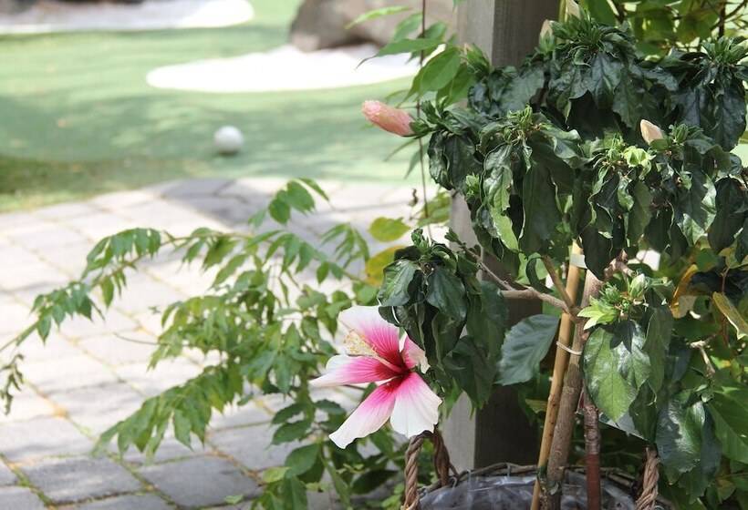 äventyrscampen In Sövde