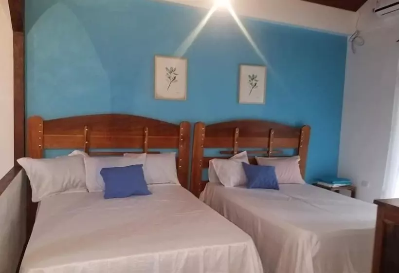 Villas Malinche Real