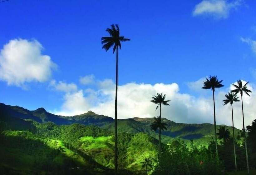 تختخواب و صبحانه Finca Villa Nora