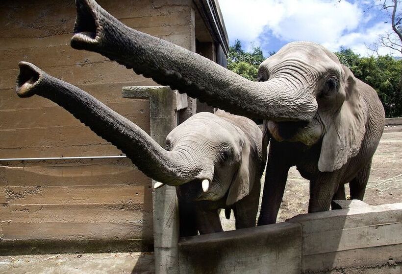 تختخواب و صبحانه Finca Villa Nora