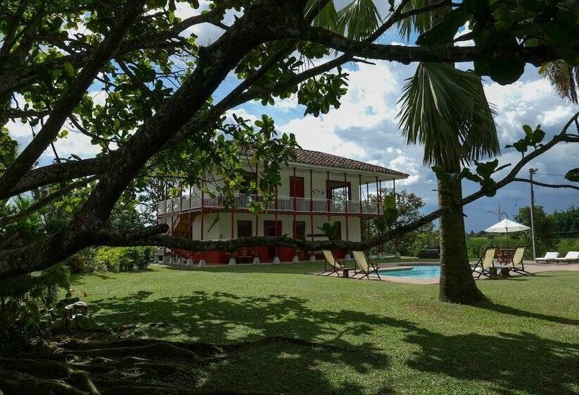 تختخواب و صبحانه Finca Villa Nora