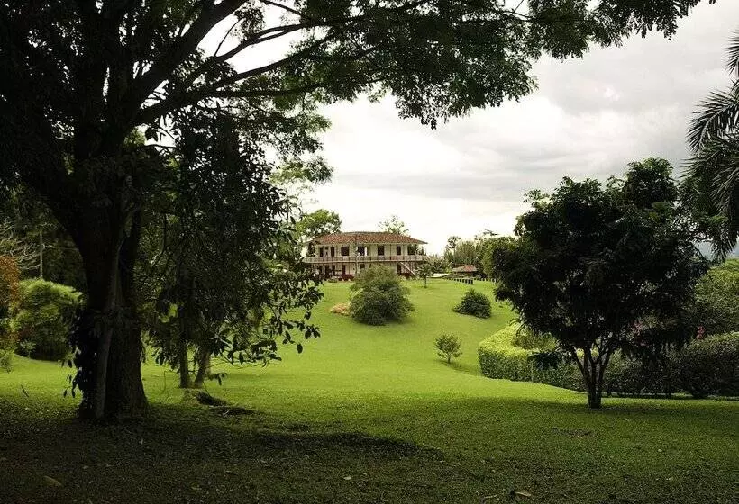 ベッドアンドブレックファースト Finca Villa Nora