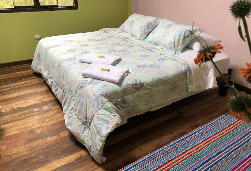 ベッドアンドブレックファースト Illari Kusi