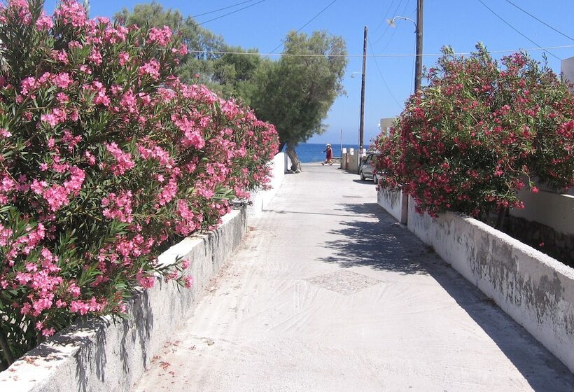 Evelina Beach Pension A Breath Away From The Black Beach Offer Plenty Of Accommodation Type To Suit