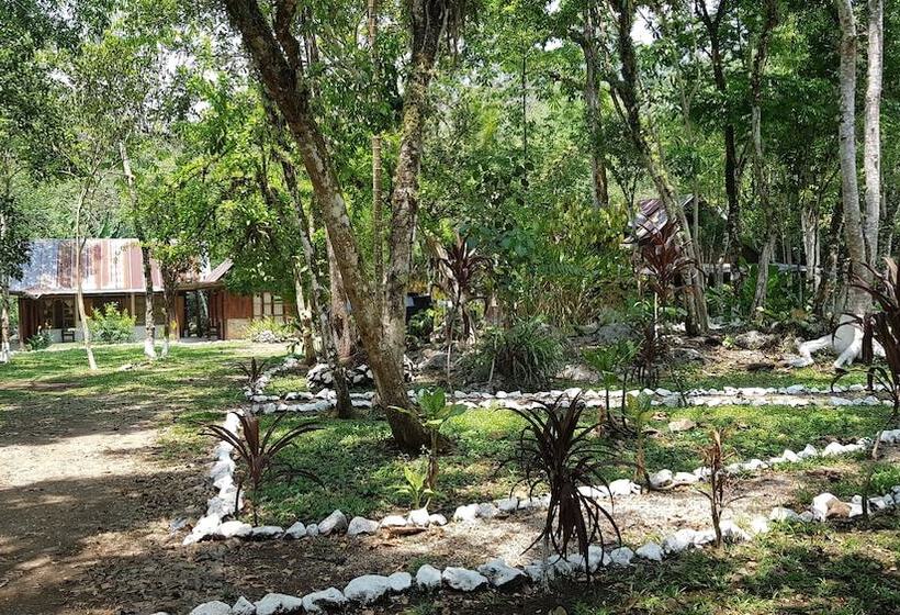 Hostal El Nawal Hostel