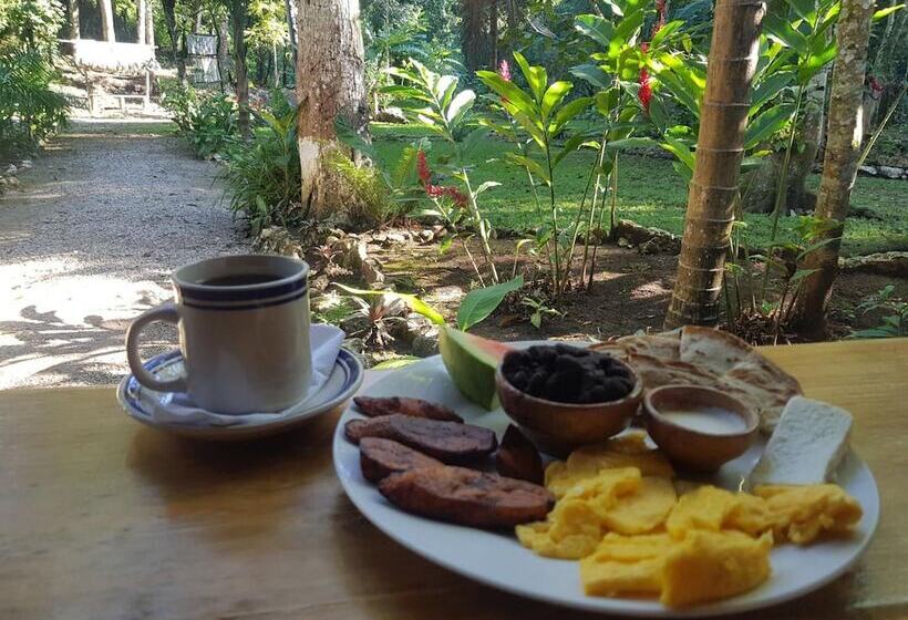 Hostal El Nawal Hostel