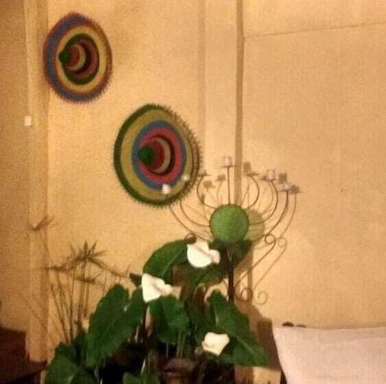 Hostal Valparaiso De Mi Amor   Hostel