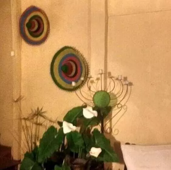 Hostal Valparaiso De Mi Amor   Hostel