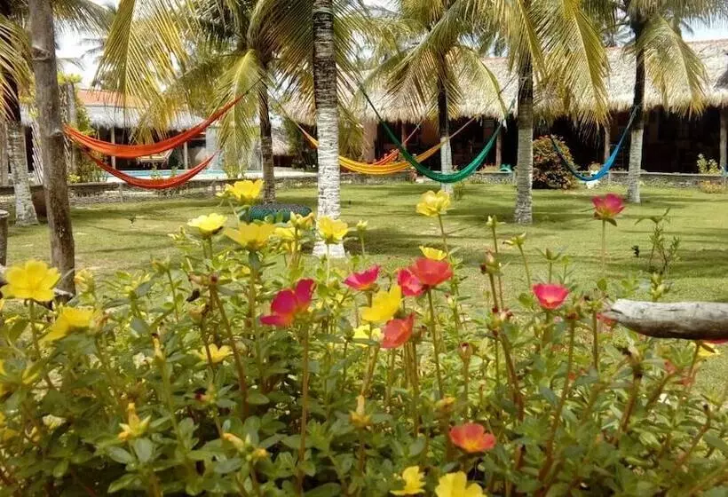 ホテル A Toca Do Bem Te Vi