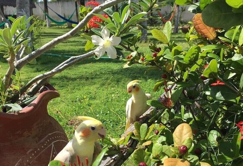 فندق A Toca Do Bem Te Vi