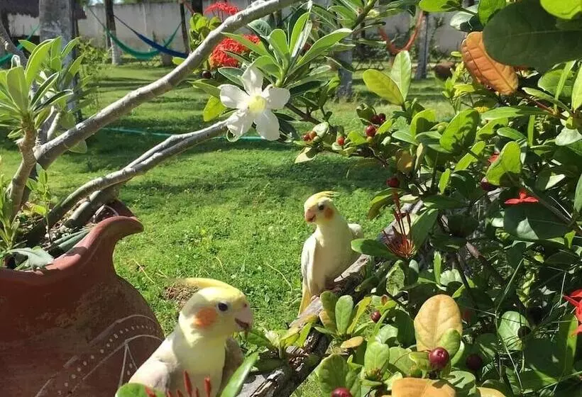 ホテル A Toca Do Bem Te Vi