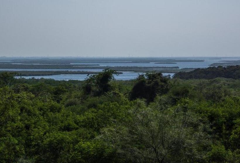 فندق Bonitto Inn® Altamira Zona Industrial