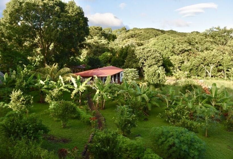 هتل Finca Ometepe