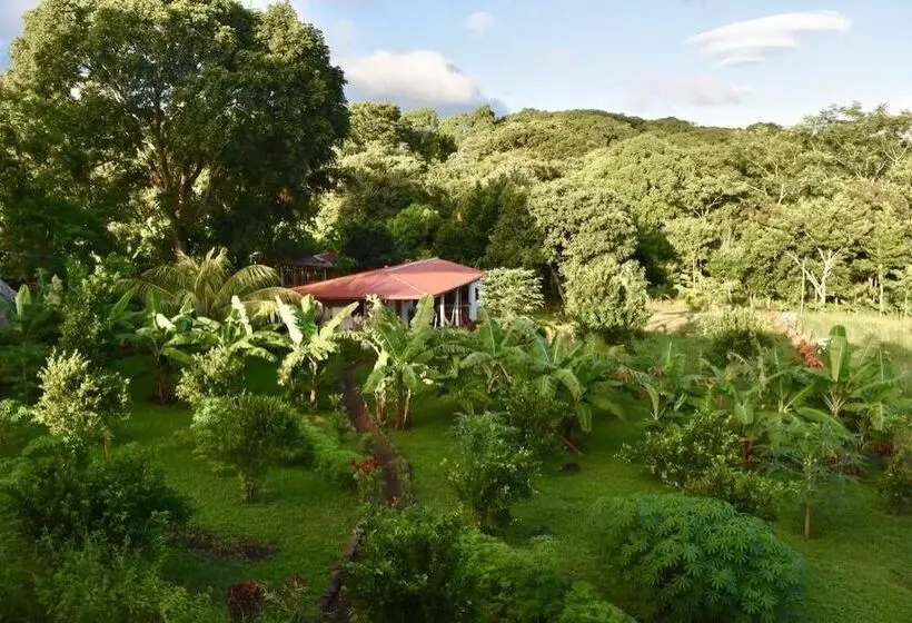 ホテル Finca Ometepe