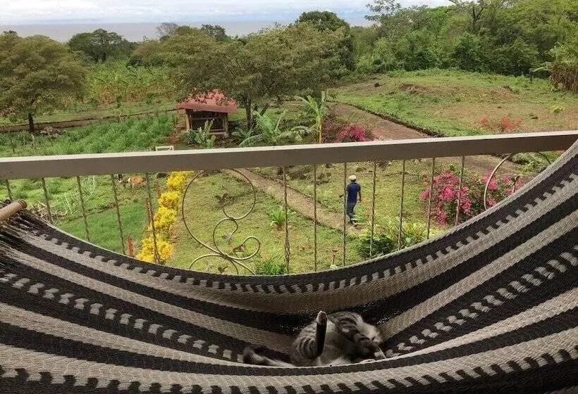 ホテル Finca Ometepe