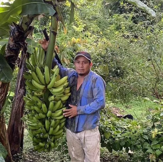 ホテル Finca Ometepe