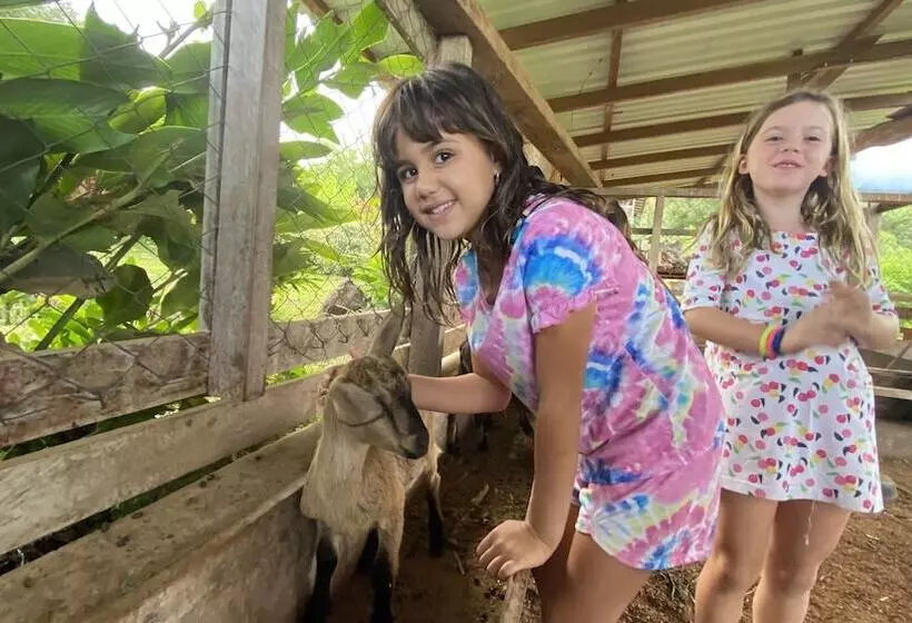 ホテル Finca Ometepe