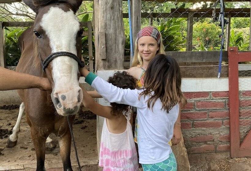 هتل Finca Ometepe