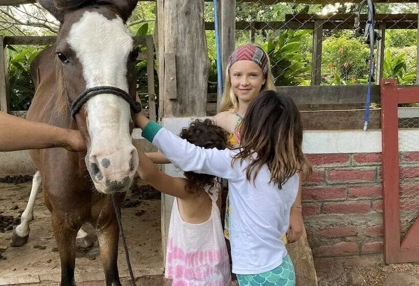 ホテル Finca Ometepe