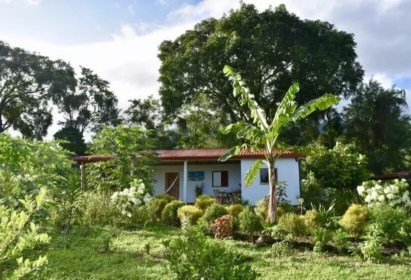 ホテル Finca Ometepe