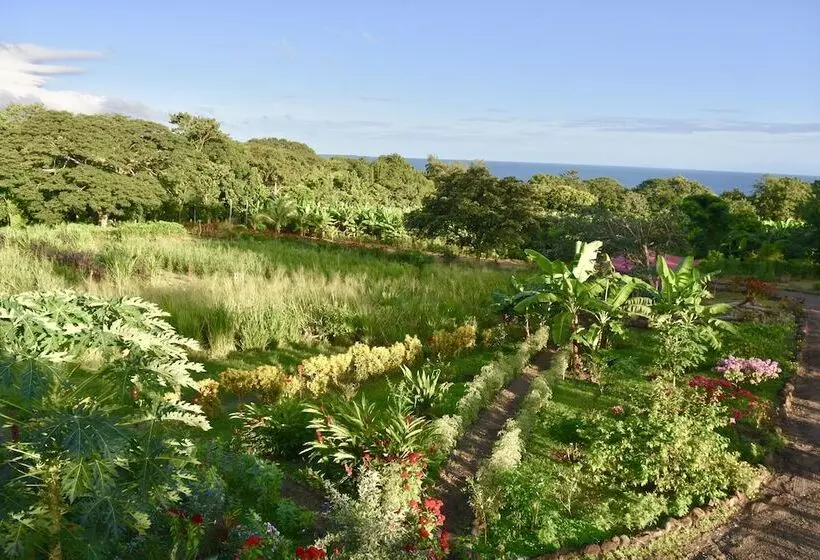 ホテル Finca Ometepe