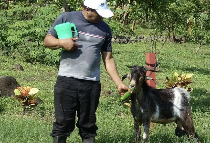 ホテル Finca Ometepe