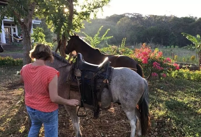 ホテル Finca Ometepe