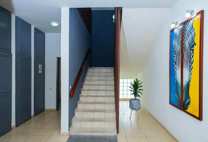 هتل Hibiscus Blvd Triomphal