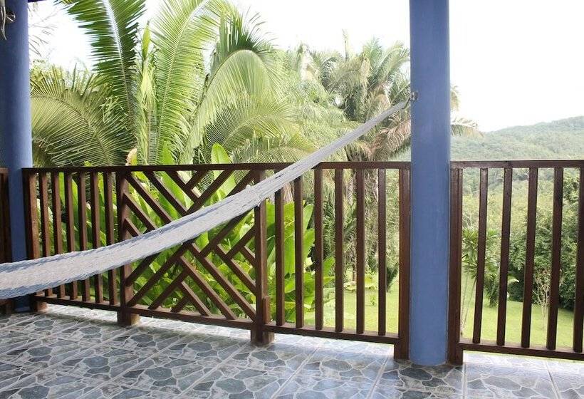 ホテル Inn The Bush Jungle Lodge