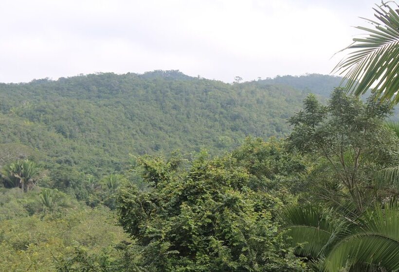 ホテル Inn The Bush Jungle Lodge