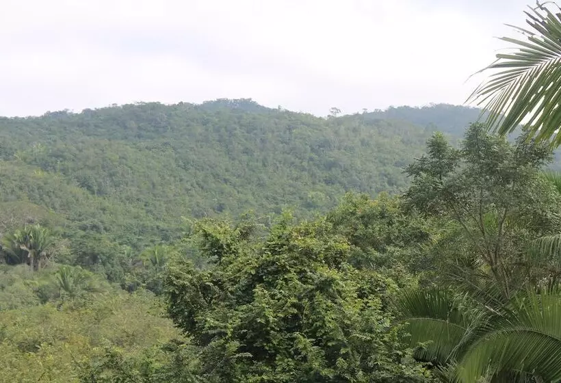 هتل Inn The Bush Jungle Lodge