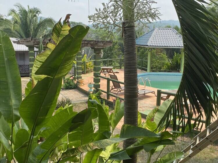 ホテル Inn The Bush Jungle Lodge