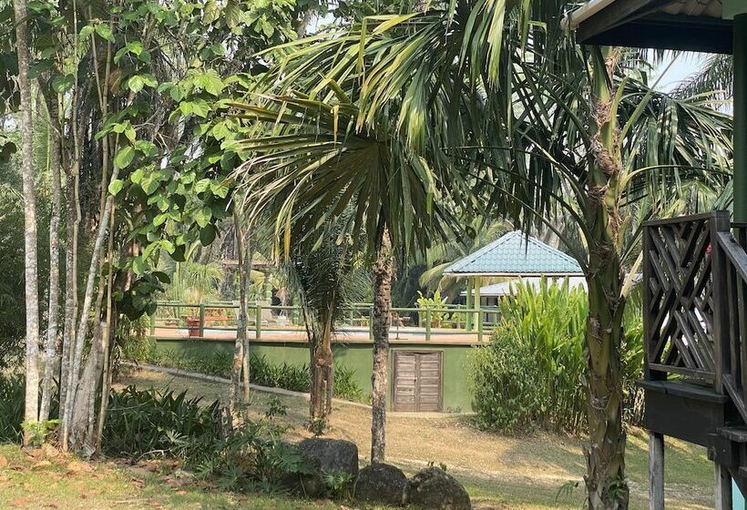 ホテル Inn The Bush Jungle Lodge