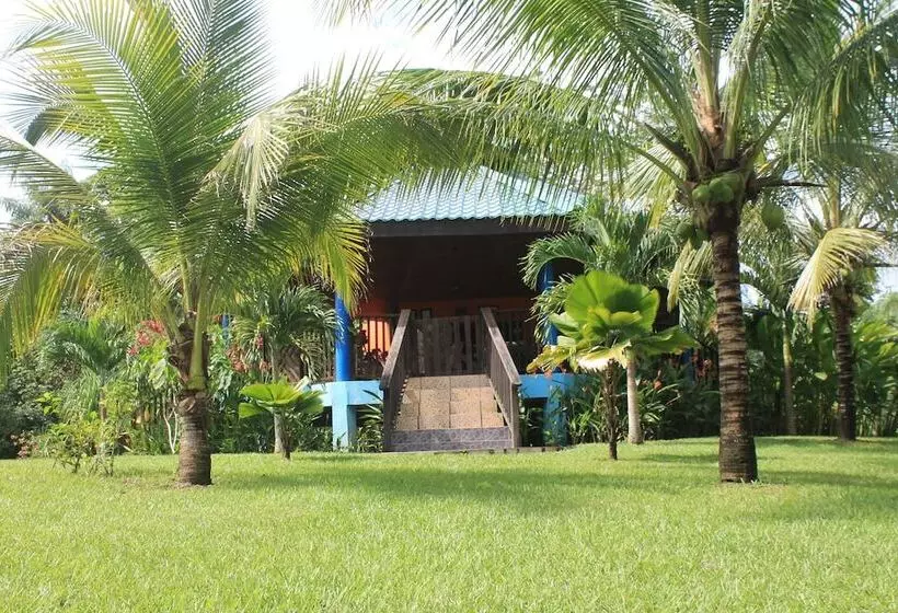 هتل Inn The Bush Jungle Lodge