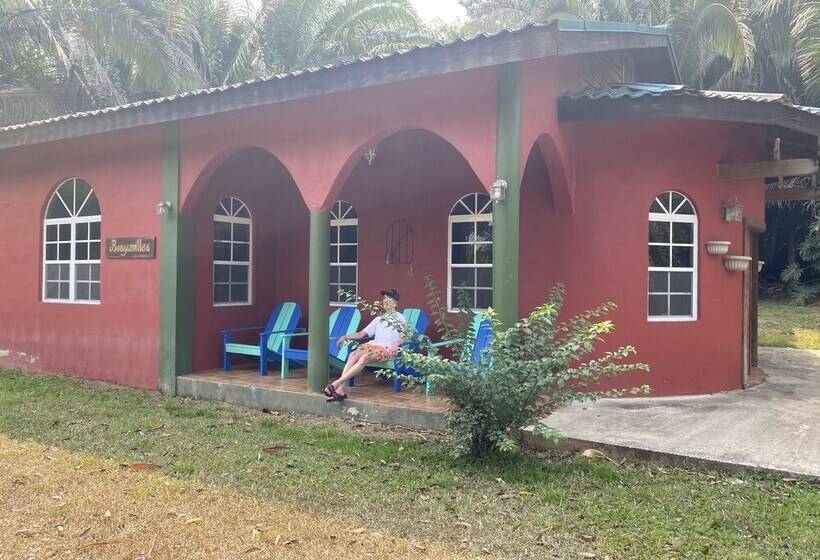 ホテル Inn The Bush Jungle Lodge