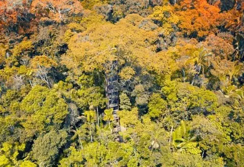 ホテル Kichwa Lodge