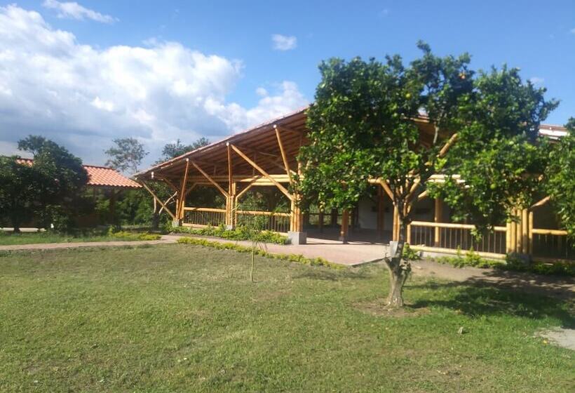 هتل Puerta Del Café