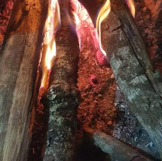 田舎風ホテル Fazenda Pedra Selada