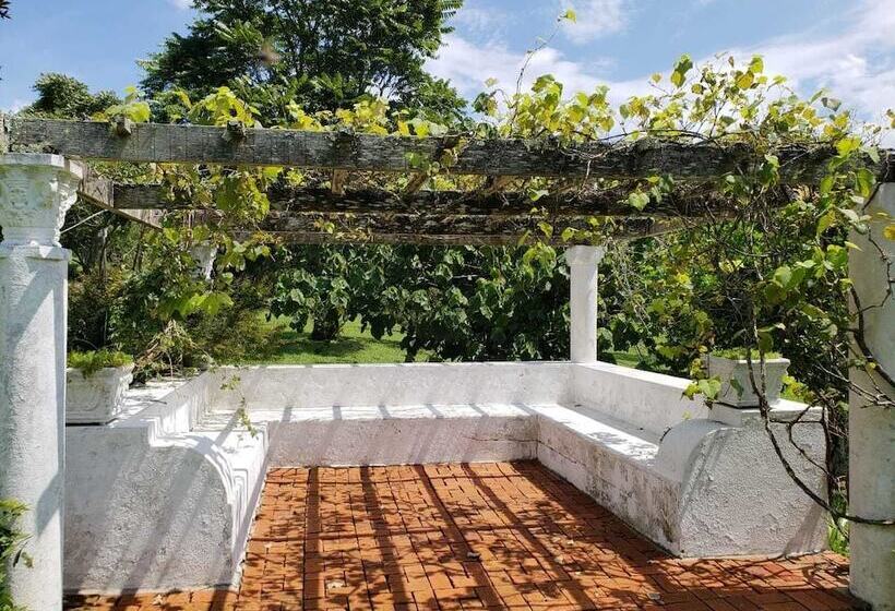 Сельский отель Fazenda Pedra Selada