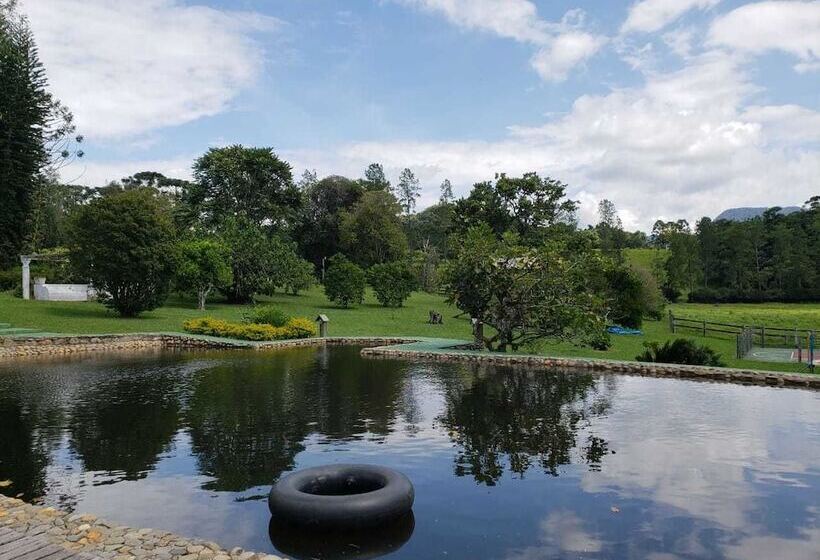 Сельский отель Fazenda Pedra Selada