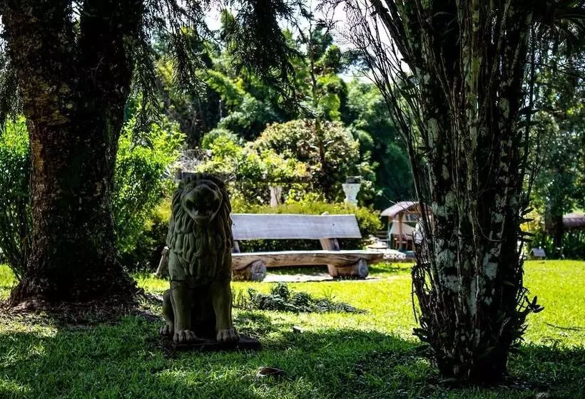 田舎風ホテル Fazenda Pedra Selada